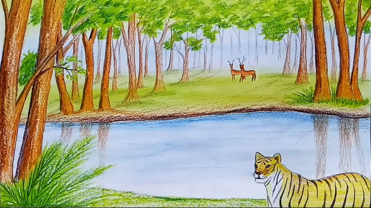 How to draw scenery of forest ( sundarban ) step by step - Çocuk