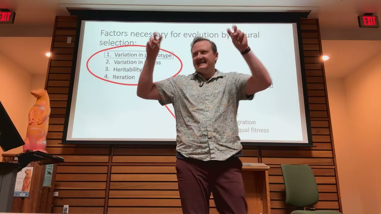 Лекция 5, курс ESM 303, весна 2026 г.