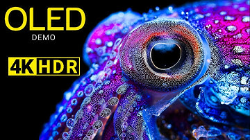 OLED Demo : The Depth Of The Colors In HDR - 4K Video