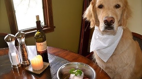 Thánh Lồng Tiếng | Trời Độ Lơn Không Độ Lu