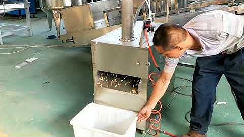 Roasted Almond Chips Cutting Machine working video whatsapp 0086 18595717637