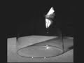 moth flying