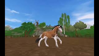 Покупка нового Исланда в  Star Stable!