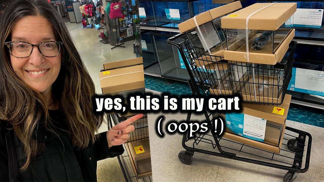 Бегите, а не идите, на эту распродажу резервуаров для воды в PETCO!