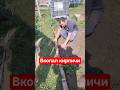 Жена умеет угаваривать