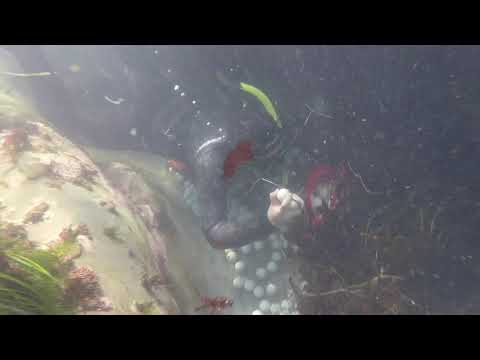 2/17/18 Underwater Tour