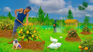 CEO Nhat Long Reclaims Land And Plants A Diverse Fruit Orchard, Survival Cook, Animal Raise.