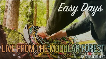 Easy Days - Live from the Modular forest. A eurorack synthesizer performance.