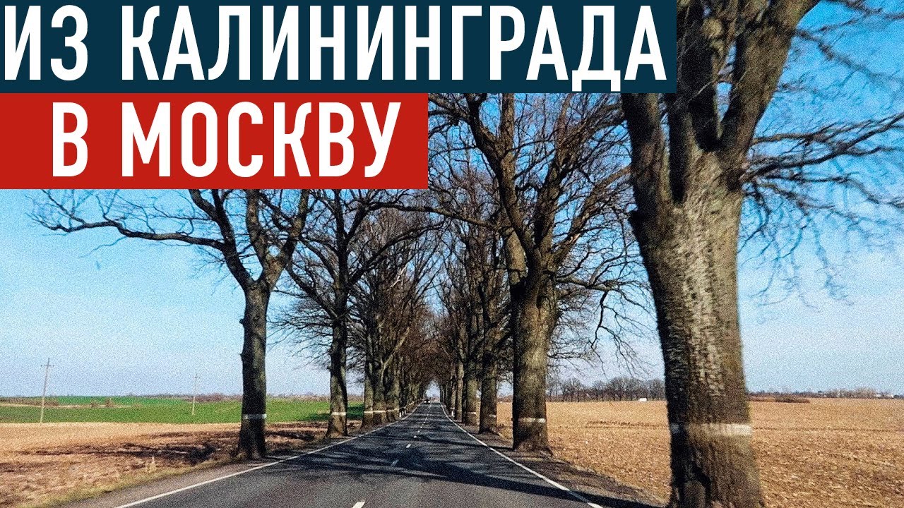 Смоленск калининград на машине