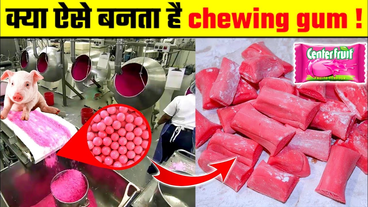 देखिए Factory में Chewing gum कैसे बनता है chewing gum kaise banta