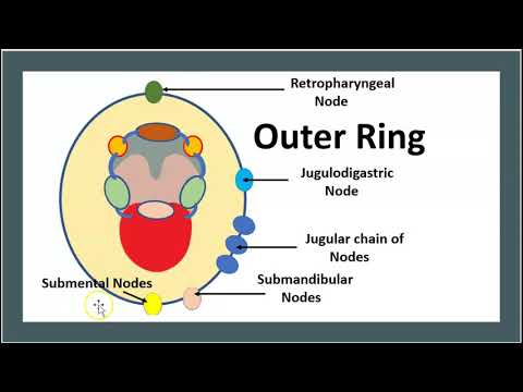 NEET UG - Pharynx, Waldeyer's Ring and Oesophagus (in Hindi) Offered by  Unacademy