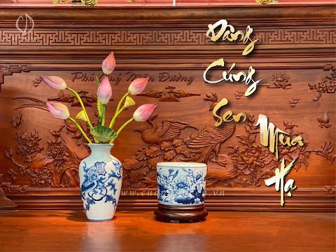 Video HƯỚNG DẪN CẮM HOA SEN DÂNG THỜ MÙA PHẬT ĐẢN - youtube