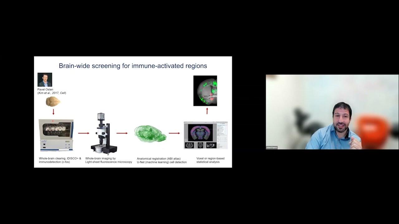 Adam Kepecs: "Brain and Body Interactions Gone Awry & Modeling