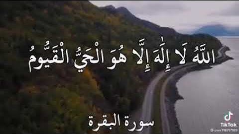 لكل شيء سنام، وإن سنام القرآن سورة البقرة، وفيها آية هي سيدة آي القرآن، هي آية الكرسي