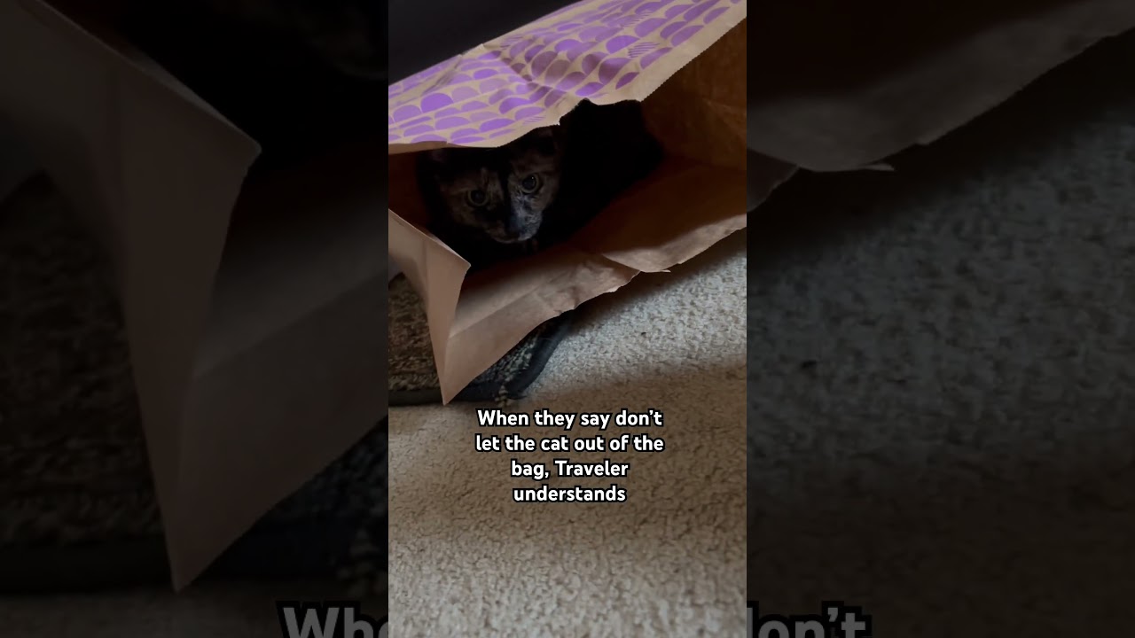 Don’t let the cat out of the bag