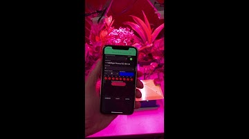 Smart Garden System Blynk App Demo