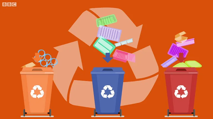 5 ways to help fight climate change - BBC What's New?