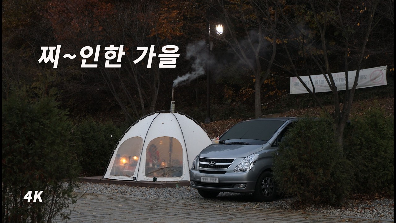 화목 난로와 함께한 낭만 가을 캠핑. 스타렉스 차박 캠핑. 서운산 자연휴양림. 레트로스 허브쉘터