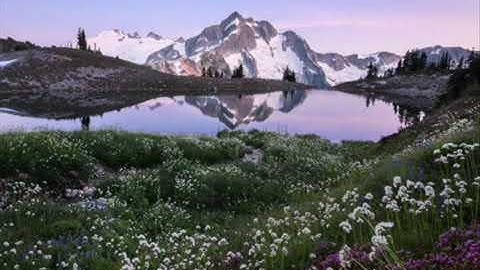 تلاوة جديدة خاشعة القارئ رعد الكردي ❤️ سورة التغابن