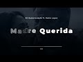 DJ Rocksteady2k ft. Pedro Lopez- Madre Querida
