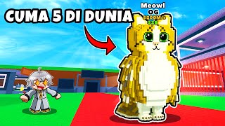 Aku Bakar Robux Demi Og Brainrot Meowl Di Steal A Brainrot