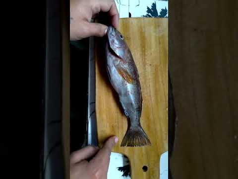 Vídeo: Quants Maons En 1 Metre Cúbic M? 30 Fotos Quin és El Nombre De Peces D’un Cub? M De Maçoneria? Consum De Maons De 250x120x65 Mm