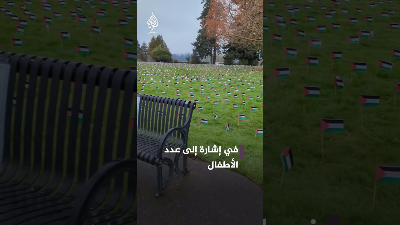 آلاف الأعلام الفلسطينية أمام مبنى الكونغرس الأمريكي.. فما السبب؟