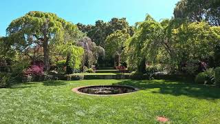 peace of mind: garden ambience with classical piano Playlist/nature sounds