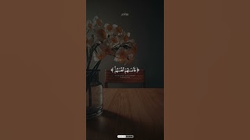 #_quran #اكسبلور #المصحف #_القرآن #حالات_واتس #لايك #تلاوة_خاشعة #تلاوة_مميزة #تلاوة_هادئة