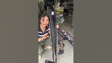 Bao đựng cần câu cá giá rẻ | balo cần câu #câu #dungcucauca #mkfishing #cauca