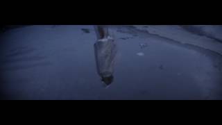 EchoDroides - Metropolis (Official Video Teaser #2)