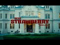 DESH -  STRAWBERRY (Official Music Video) image