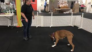 Debbie 5 Core Exercises