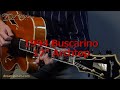 1994 buscarino 17 archtop quilted maple  spruce