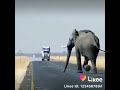 كيف فعل ربك باصحاب الفيل