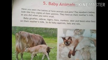 Class - 2 ch- 5 Baby Animals (part -2)