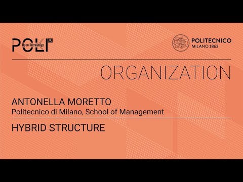 Hybrid structure (Antonella Moretto)