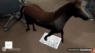 Horse Augmented Reality