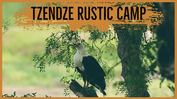 Tsendze Rustic Camp | Kruger National Park
