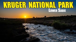 Kruger National Park for a weekend - Camping at Lower Sabie