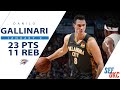 Danilo Gallinari's Full Highlights: 23 PTS, 11 REB vs Rockets | 2019-20 NBA Season - 1.9.20