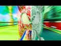 Spider Hog Generations Sonic Generations Mods 