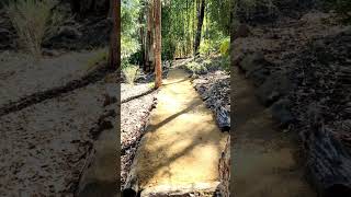 New Walking Meditation Path below Lotus Pond at Dhammagiri #buddhistmeditation #buddhistmonastery