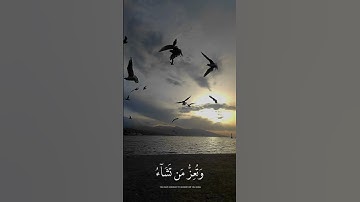 القارئ احمد العجمي تلاوة ( قُلِ اللَّهُمَّ مَالِكَ الْمُلْكِ تُؤْتِي الْمُلْكَ ) آل عمران #تلاوات