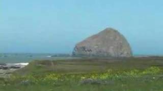 The Lost Coast of California