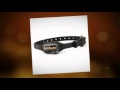 Stop Dog From Barking With Dog Anti-Barking Collar Stop Dog From Barking With Dog Anti-Barking Collar