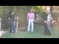 Enjoy Training Your Dog at Lucky Dog Sports Club Enjoy Training Your Dog at Lucky Dog Sports Club
