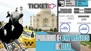 Polish Cow Visits India Republic Day Special Must Watch If You Are Indian Meme Editz Pt 6