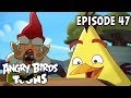 Angry Birds Toons | Oh Gnome! - S1 Ep47