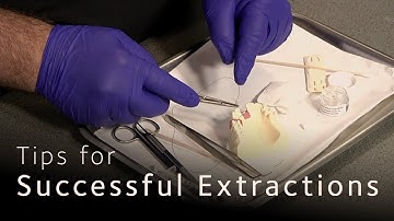 Minimally Invasive Dental Extractions